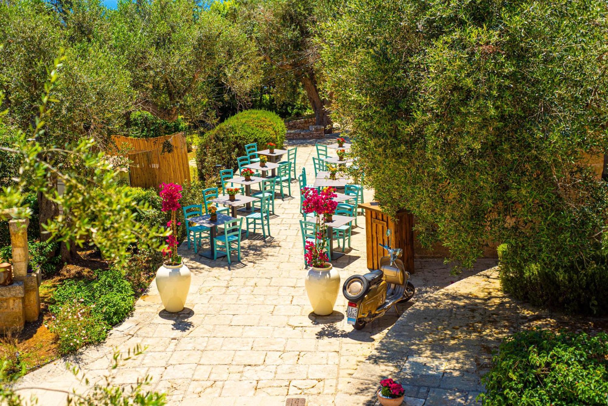 Hotel Marenea - Cdshotels 5*